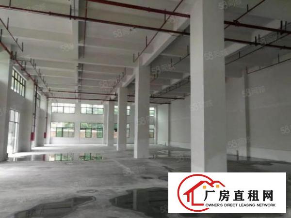  常平桥沥工业区新出标准一楼600平方厂房现成装修5米高