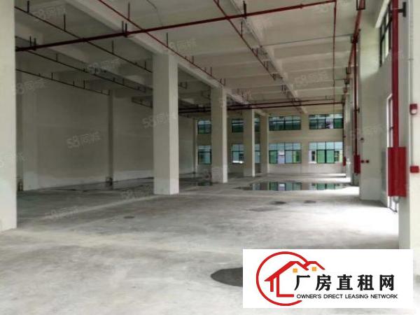  常平桥沥工业区新出标准一楼600平方厂房现成装修5米高