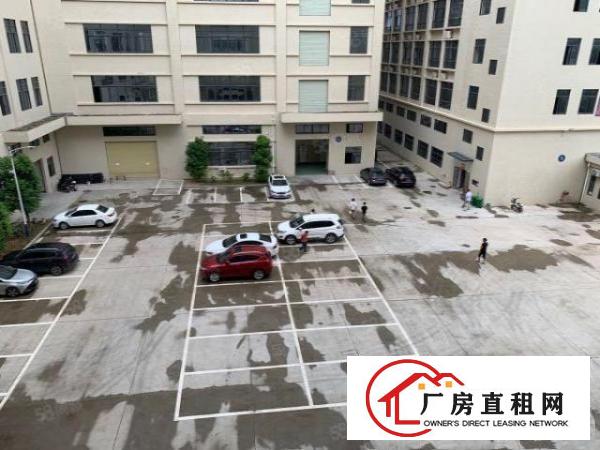  常平原房东全新工业厂房，红本产权，带消防淋喷