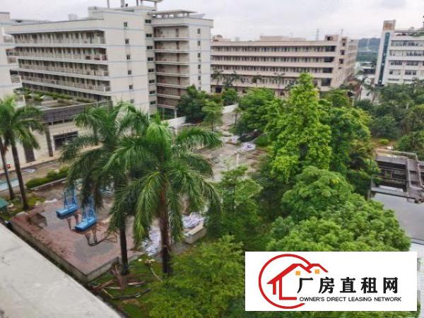 常平镇新出国土红本双证独院花园式厂房11800平米