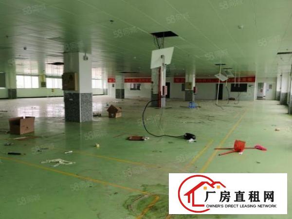  常平镇新出国土红本双证独院花园式厂房11800平米