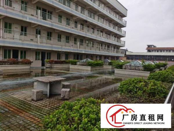  常平镇新出国土红本双证独院花园式厂房11800平米