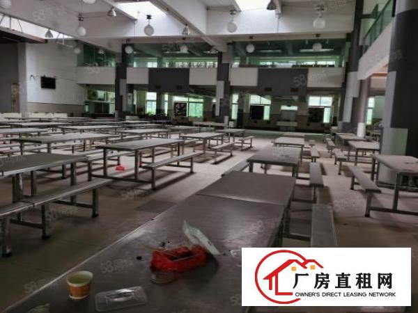  常平镇新出国土红本双证独院花园式厂房11800平米
