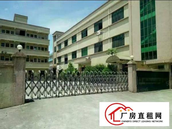  常平木伦（超大前台豪华装修）电商电子二楼650平