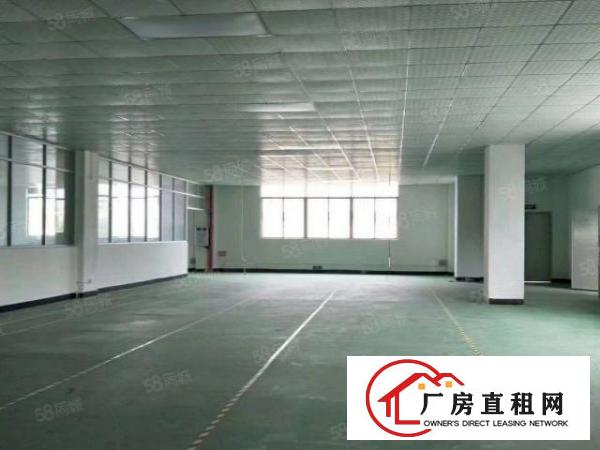  常平镇原房东新装修带办公室准独门独院13元800平方厂房出租
