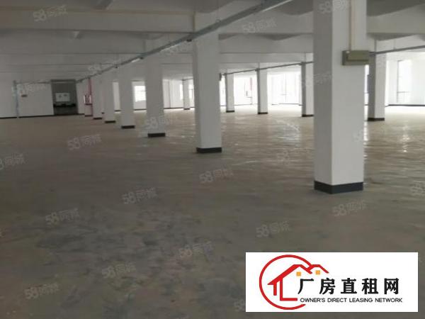  常平镇独门独院厂房3500平方