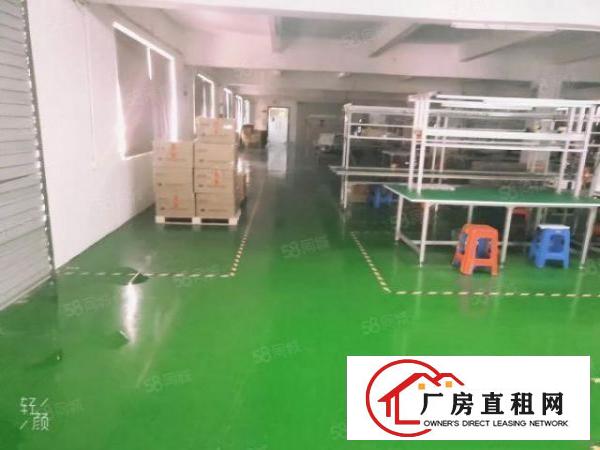  新出一楼和楼上1200平精装办公室水电齐全园区形象好空地大