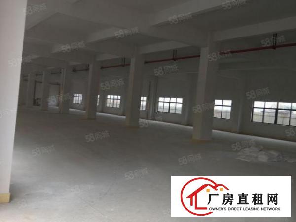  东莞市常平镇新出6000平方经典独院厂房招租