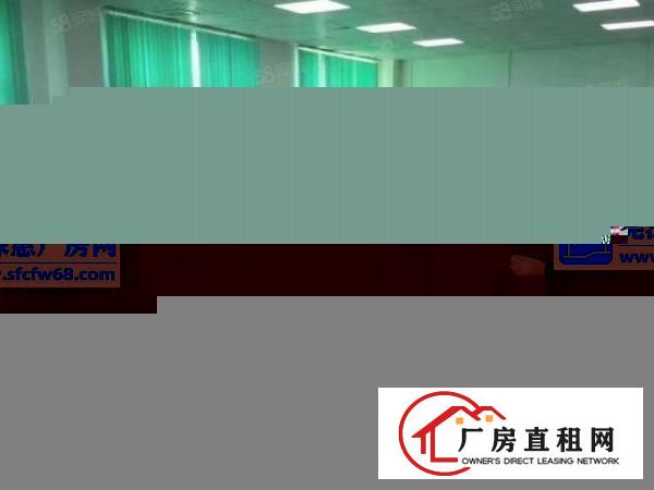  常平桥沥独院钢构2500平空地1700平（大小可以分租）