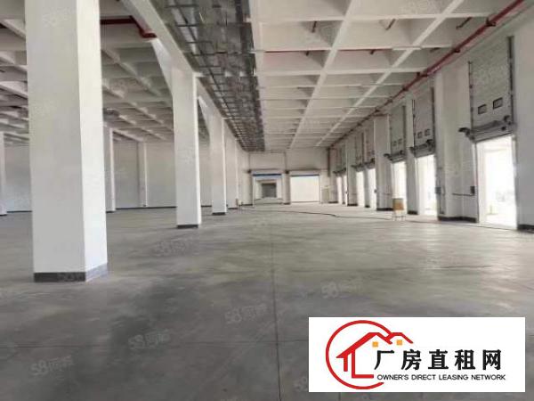  单层标准物流仓41000平方.可分租.带卸货平台.空地超大