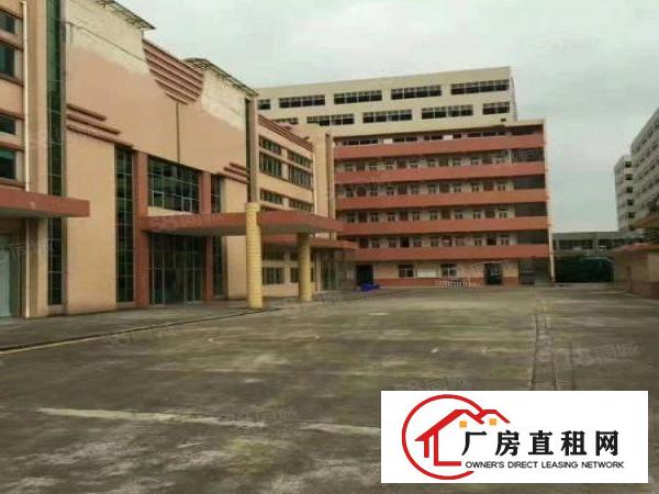 常平木伦标准厂房一楼1200平带装修好办公室可分租