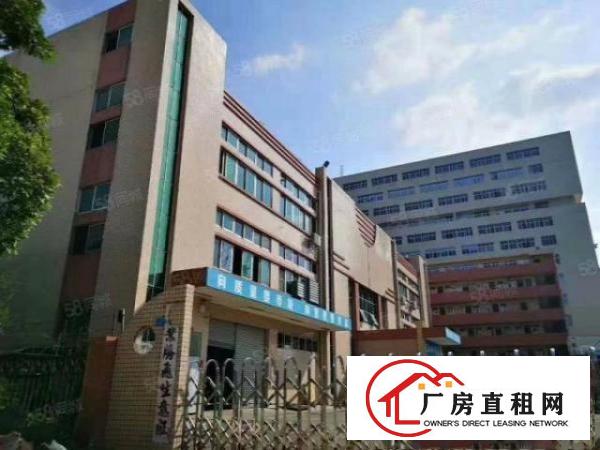  常平木伦标准厂房一楼1200平带装修好办公室可分租