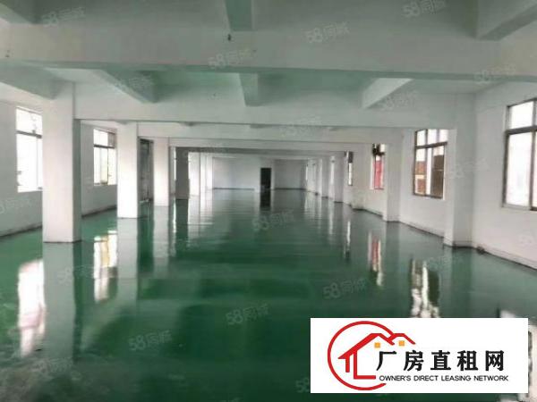  常平工业区标准厂房13层2000平（可以分租）行业不限