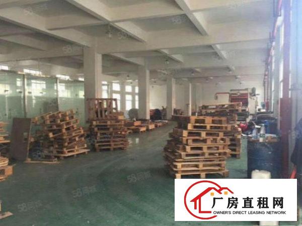  常平镇新出原房东独门独院6000平方厂房出租！