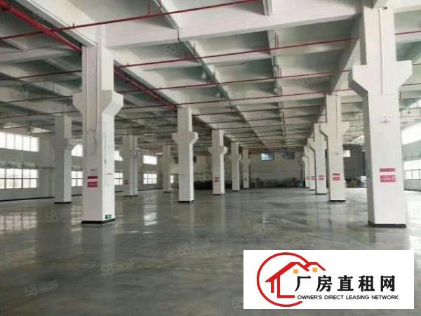  常平13层各2000平带现成抽粒，注塑环评出租（可分租）