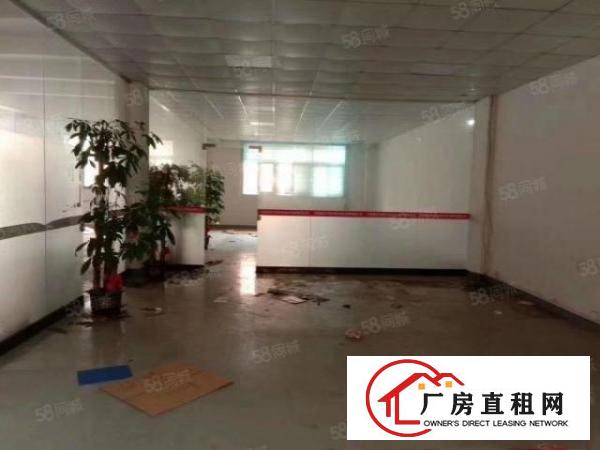  常平13层各2000平带现成抽粒，注塑环评出租（可分租）