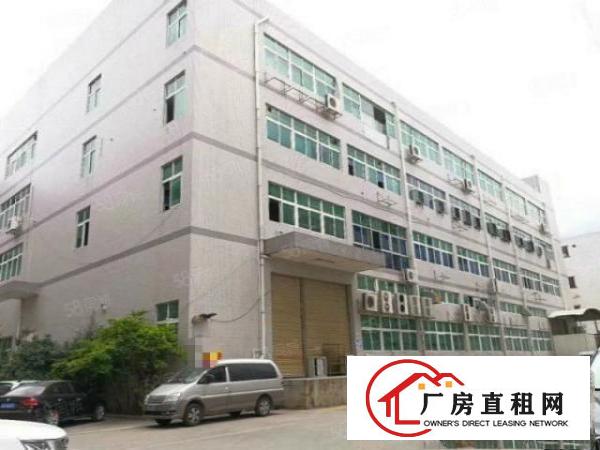  常平金美新出15元一楼实际面积750平水电齐全带装修