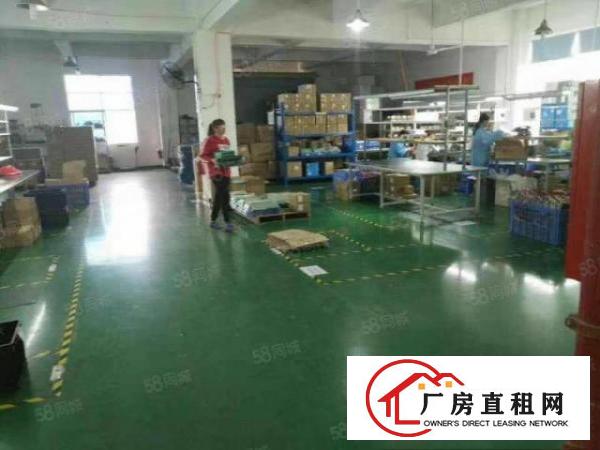  （原房东)袁山贝靠大朗三层4800平方，单一层2000平方出