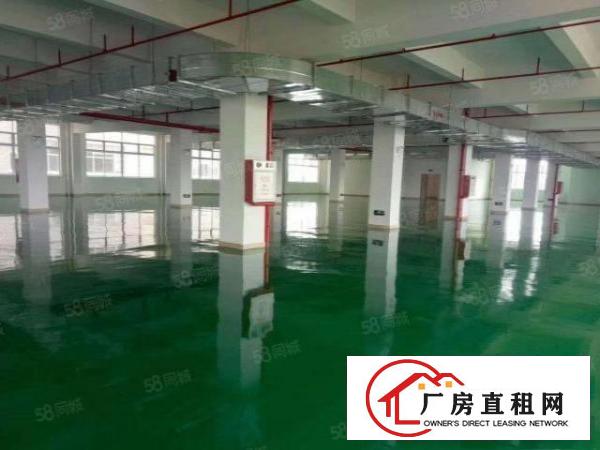  成熟工业区新出花园式厂房楼上700平带装修