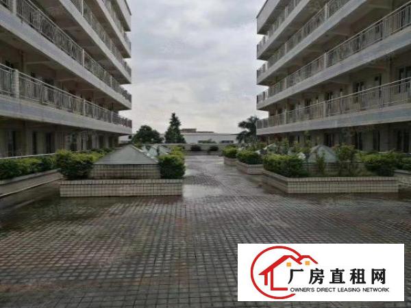  常平新出双证件独门独院厂房,现成高台卸货平台无尘车间,可分租