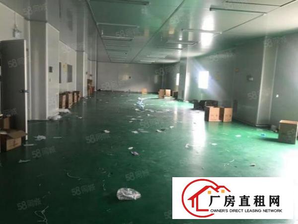  常平镇中心区木伦科技园现成无尘车间1280平出租