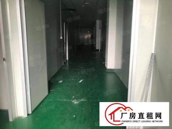  常平镇中心区木伦科技园现成无尘车间1280平出租