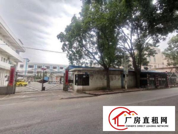  常平独门独院厂房5400平方米，真实图片，近高速路口