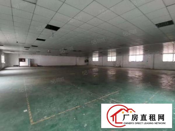  常平独门独院厂房5400平方米，真实图片，近高速路口
