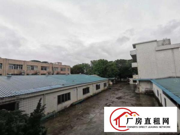  常平独门独院厂房5400平方米，真实图片，近高速路口