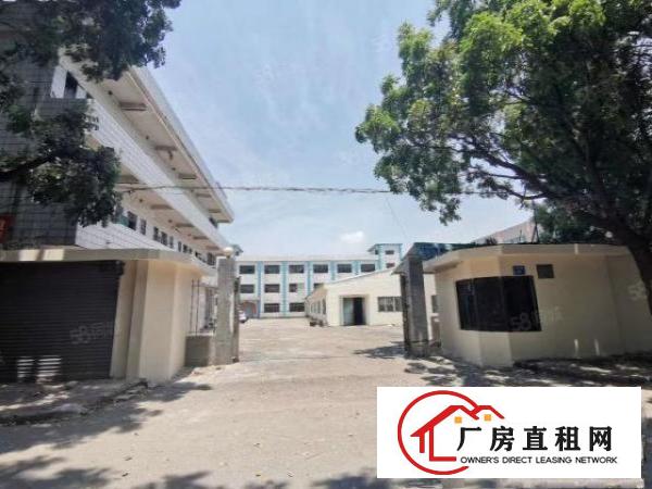  常平独门独院厂房5400平方米，真实图片，近高速路口