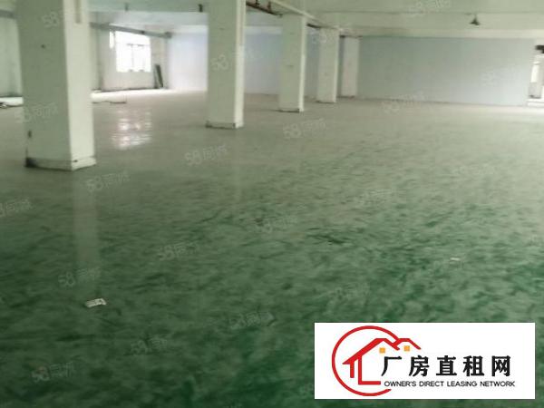  厂房出租！原房东分租独院厂房空地大带办公室地坪漆装修可分租