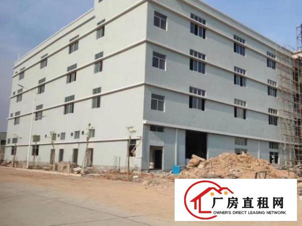  企石单一层厂房出租标准厂房出租东莞厂房出租原房东厂房出租