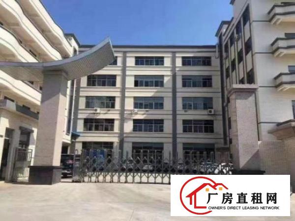  企石单一层厂房出租标准厂房出租东莞厂房出租原房东厂房出租