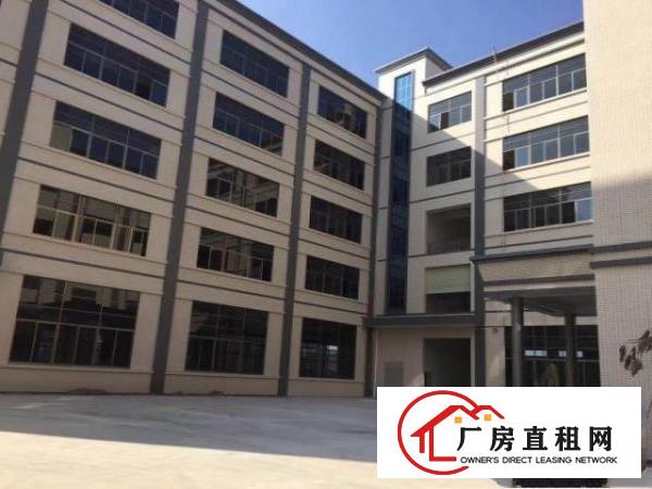  企石单一层厂房出租标准厂房出租东莞厂房出租原房东厂房出租