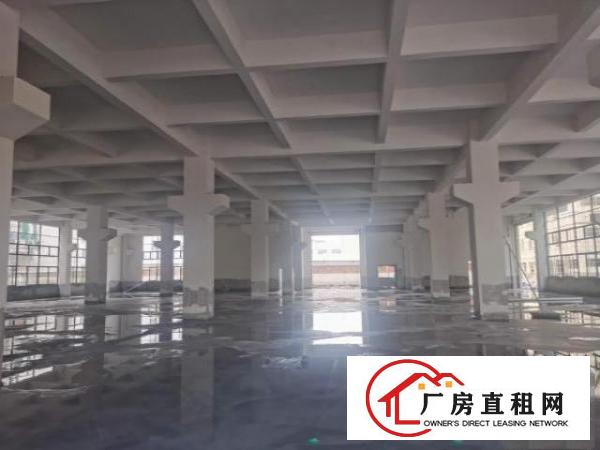  企石单一层厂房出租标准厂房出租东莞厂房出租原房东厂房出租