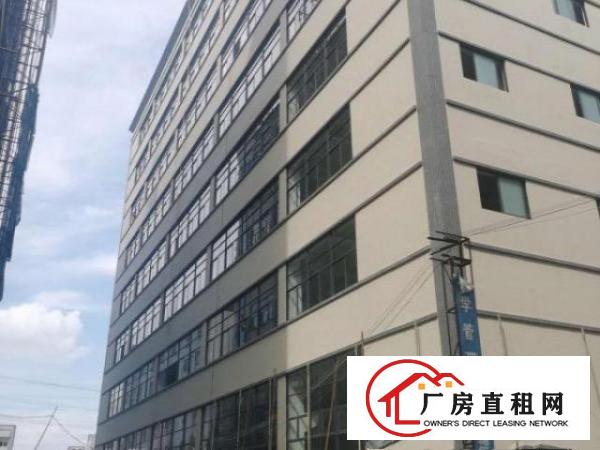  企石单一层厂房出租标准厂房出租东莞厂房出租原房东厂房出租