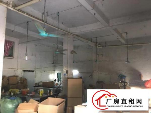  企石镇新南一楼门面250㎡出租，层高5米另带60㎡阁楼