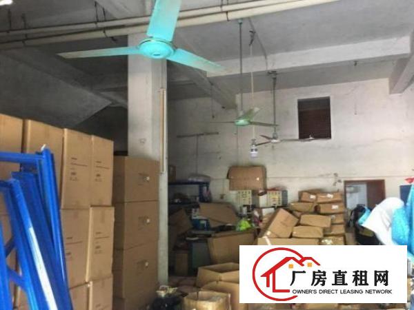  企石镇新南一楼门面250㎡出租，层高5米另带60㎡阁楼