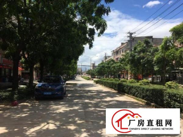  企石镇新南一楼门面250㎡出租，层高5米另带60㎡阁楼