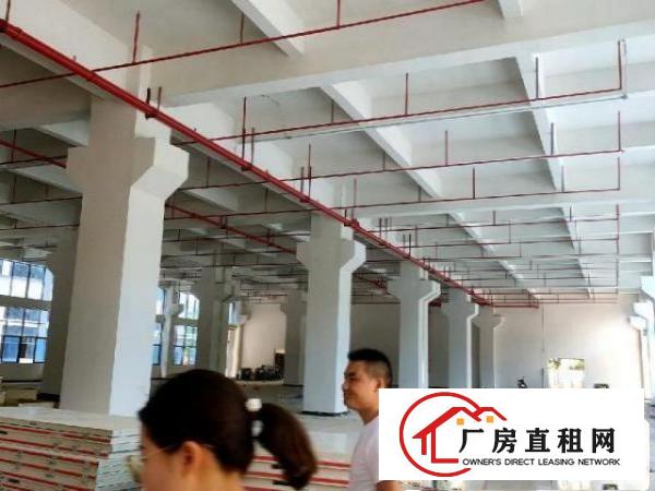  带国土证独院标准厂房