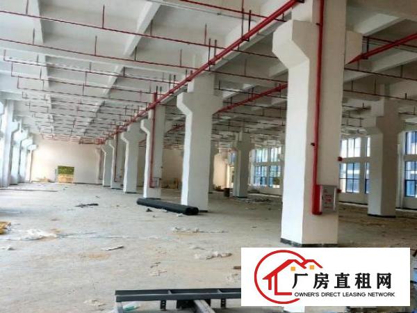  带国土证独院标准厂房