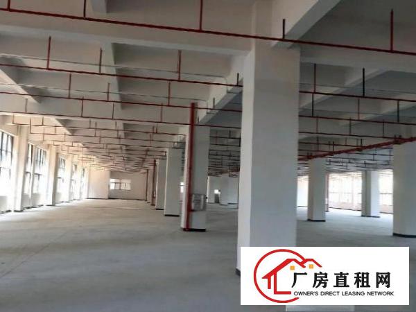  带国土证独院标准厂房
