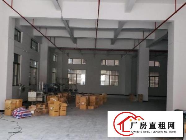  企石镇原房东独院厂房招租有消防喷淋房产证两部电梯
