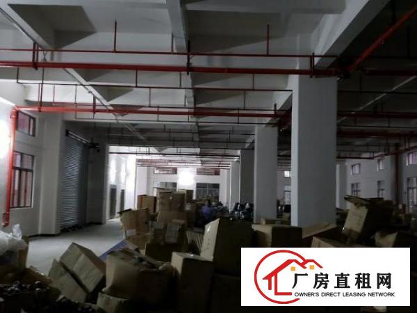  企石镇原房东独院厂房招租有消防喷淋房产证两部电梯