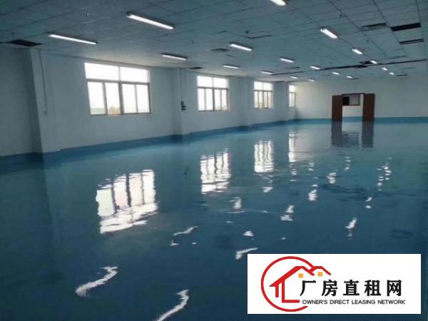  企石镇全新标准厂房现成地坪漆