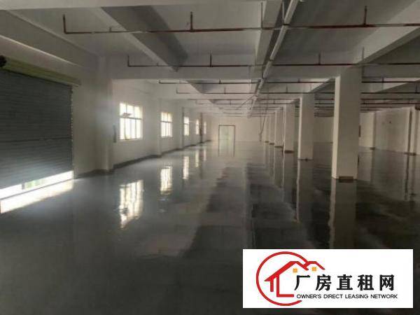  企石镇全新标准厂房现成地坪漆