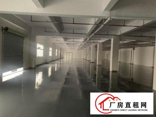  企石镇全新标准厂房现成地坪漆