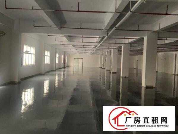  企石镇全新标准厂房现成地坪漆