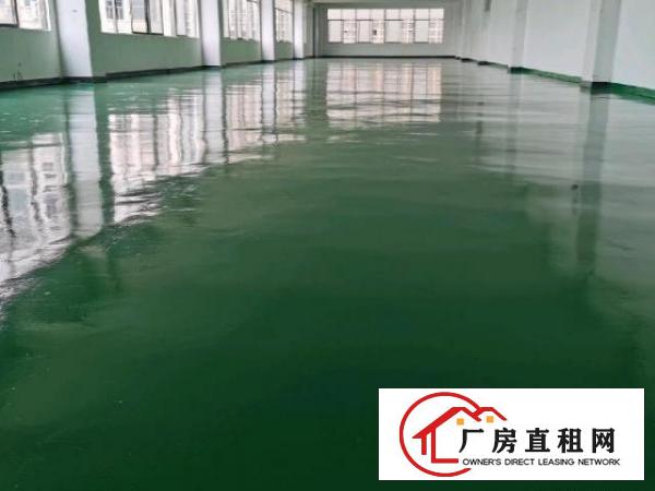  企石镇全新地坪漆厂房850平方