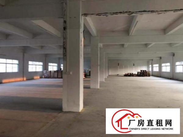  企石镇现成办公室装修水电齐全厂房只需10元